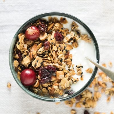 yogurt is the main source of probiotics