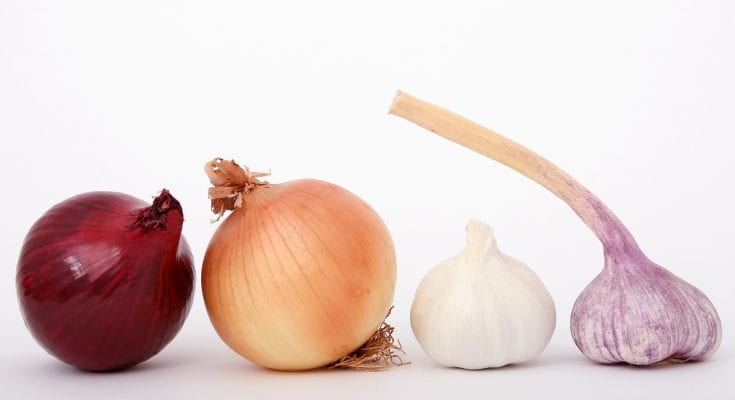 source of prebiotic garlic onion