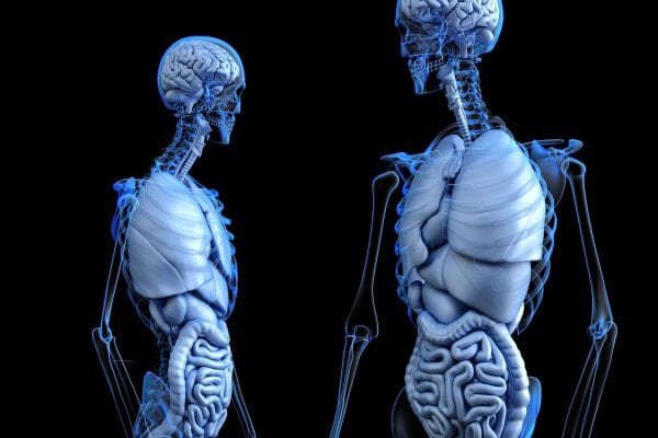 colon hydrotherapy