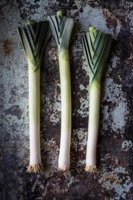leeks is a source of prebiotics