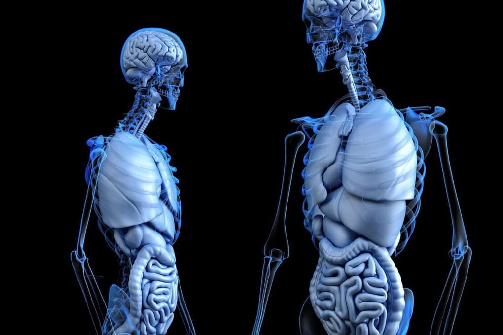 colon hydrotherapy
